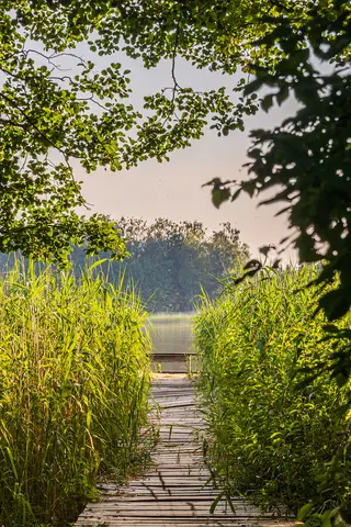 Mazurski Chill - cabins and surroundings - photo 18